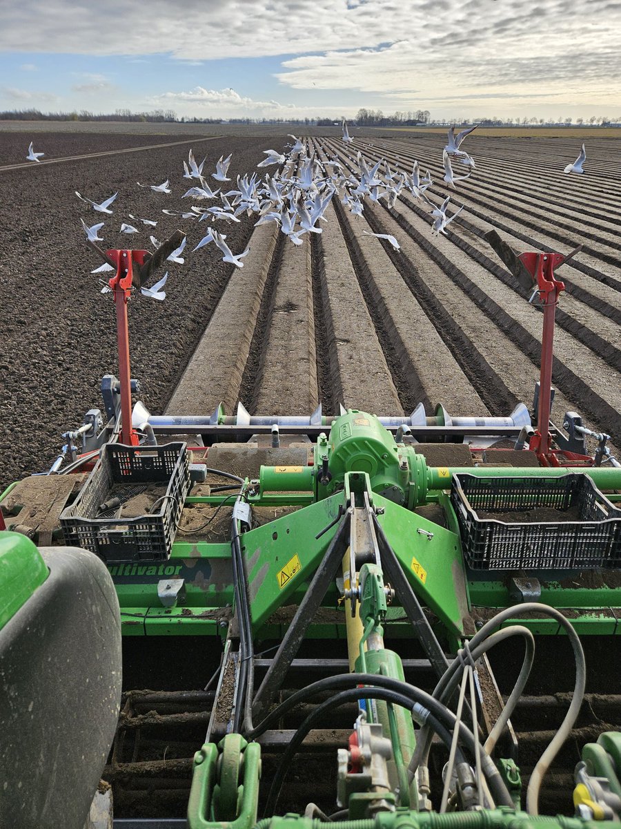 Michiel van Andel tweet media