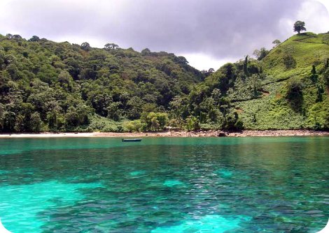 ConocerDel's tweet image. La Isla del Coco, un paraíso escondido en el Pacífico.  Naturaleza virgen, cascadas impresionantes y biodiversidad única. Ideal para aventureros y amantes del buceo. ¡Un Patrimonio de la Humanidad que vale la pena explorar!  #IslaDelCoco #Aventura
conocerlugaresdelmundo.blogspot.com/2016/06/isla-d…