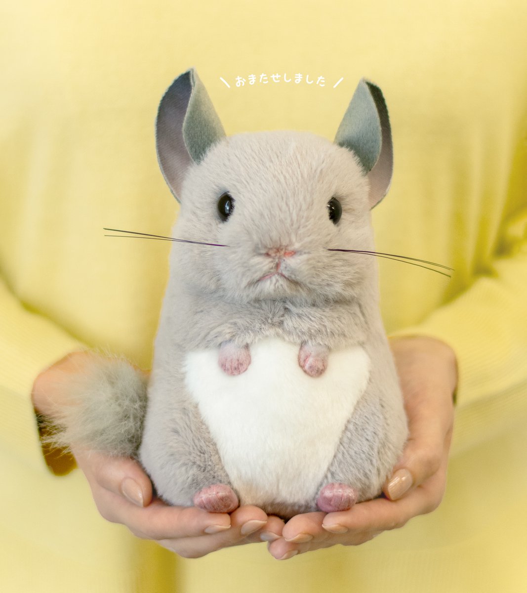 上野動物園　チンチラ　ぬいぐるみ グレー 吉徳 チンチラのぬいぐるみ（グレー） | 生物園オンラインショップ