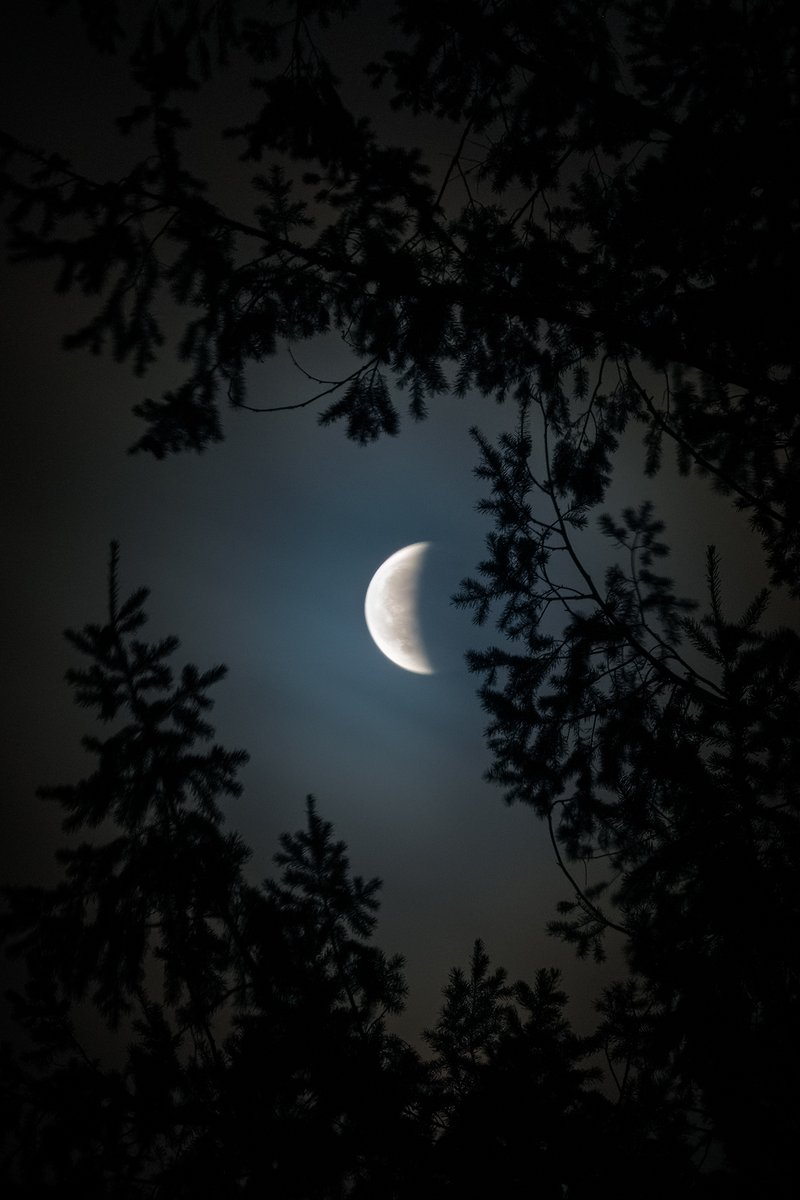 I feel obligated to post these photos of the lunar eclipse. I took these from my yard as the clouds and clear spots passed by 

#oregon #eclpise #lunareclipse2025 #lunareclipse