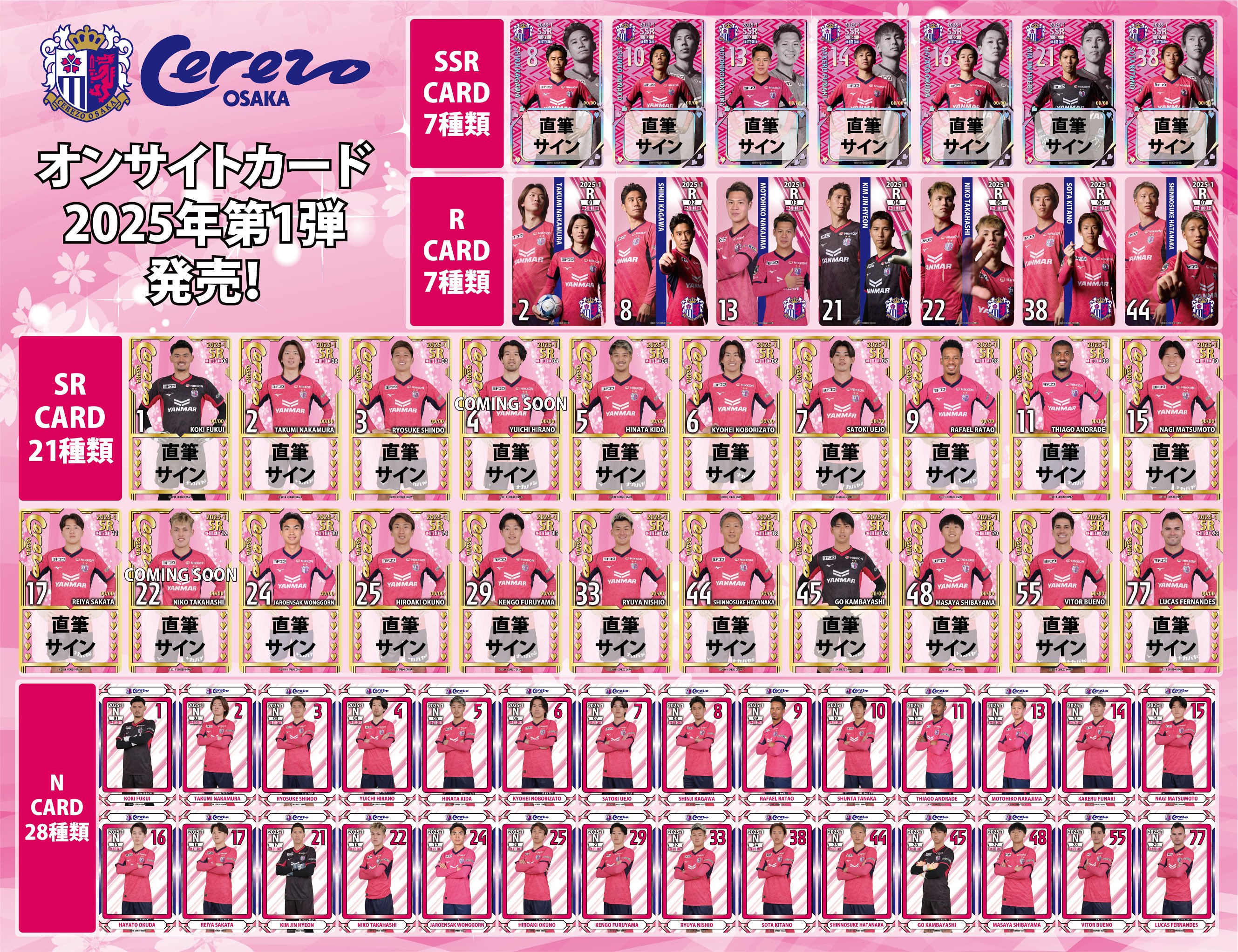 オンサイトカード セレッソ大阪ヤンマーレディース N22枚+SR3枚