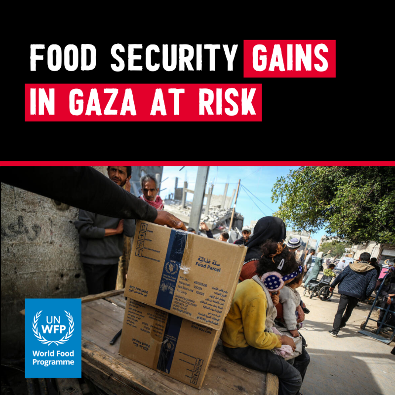 WFP's tweet photo. 🔴 Since March 2, WFP has been unable to transport any food supplies into #Gaza and is forced to reduce the quantity of food families receive in order to stretch supplies.

🔴 During the first 42 days of ceasefire, WFP was able to support 1.3 million people with food assistance.