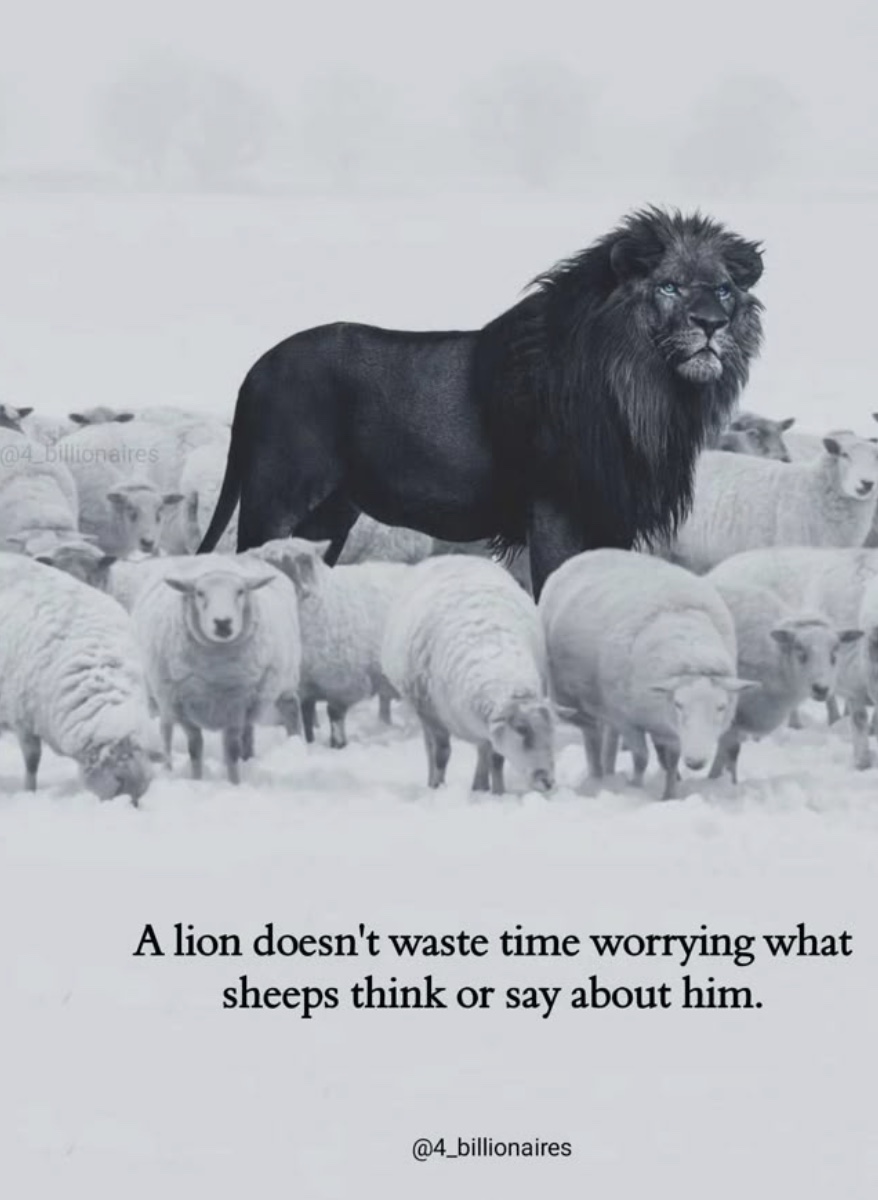 Scott Kesseler (@kesseler) on Twitter photo 