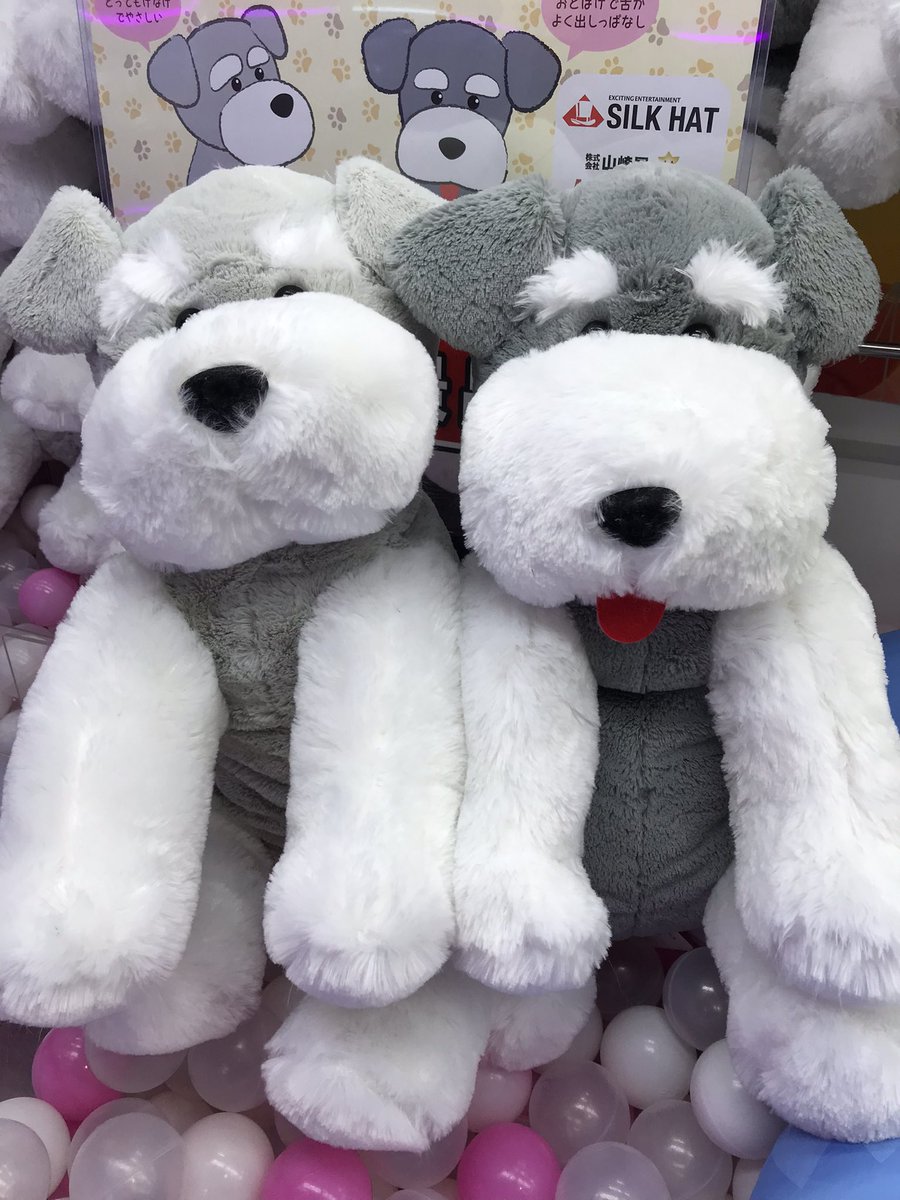 ⭐️新景品⭐️】 『シュナとボブ超ウルトラBIG』 登場致しました