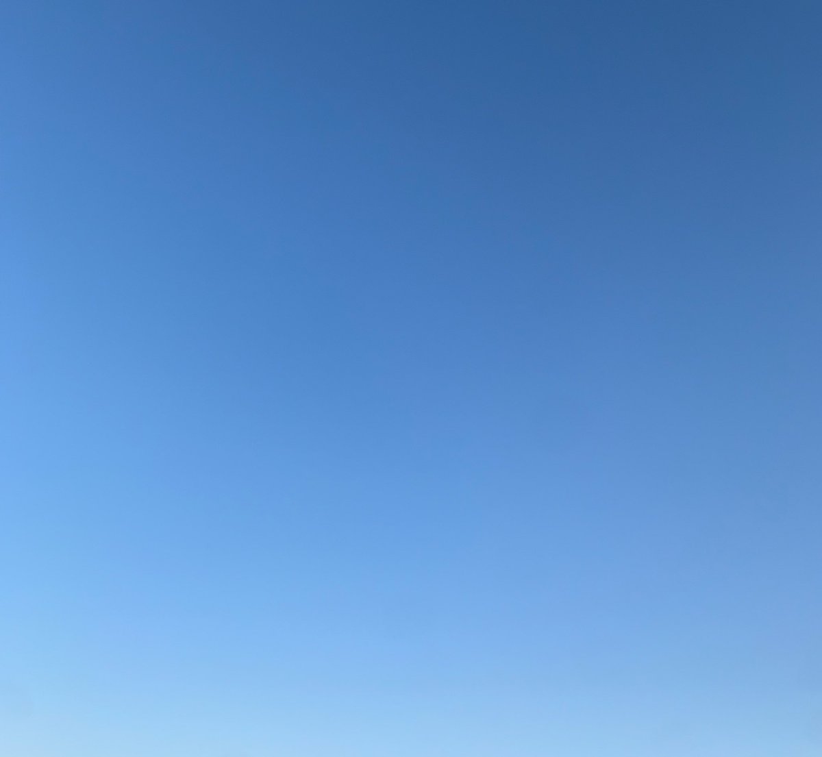 何かがあるから幸せとか
何かがないから不幸せとか
そういうことではなく

空に感動したり
愛されてるなぁと思ったり
誰かの元気を願ったり

それを感じていることが「幸せ」なんだと思う。

☀️良い空です。