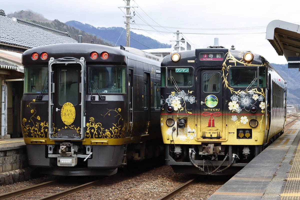 zuizui_404's tweet photo. はなあかり ✕ うみやまむすび

いつかいつかと思ってたいた並び。撮れたのは〝かにカニはまかぜ〟最後の週でした。 https://t.co/XO4853aowg