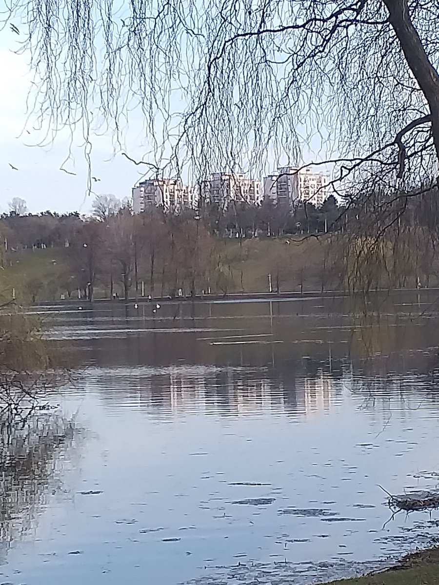 eriesence's tweet image. 