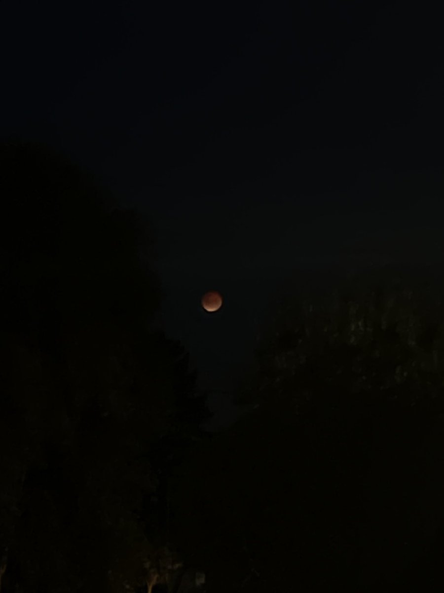 Asteri_VT's tweet photo. Tonight’s blood moon, what a pretty sight to see! https://t.co/gCP0OxauCF