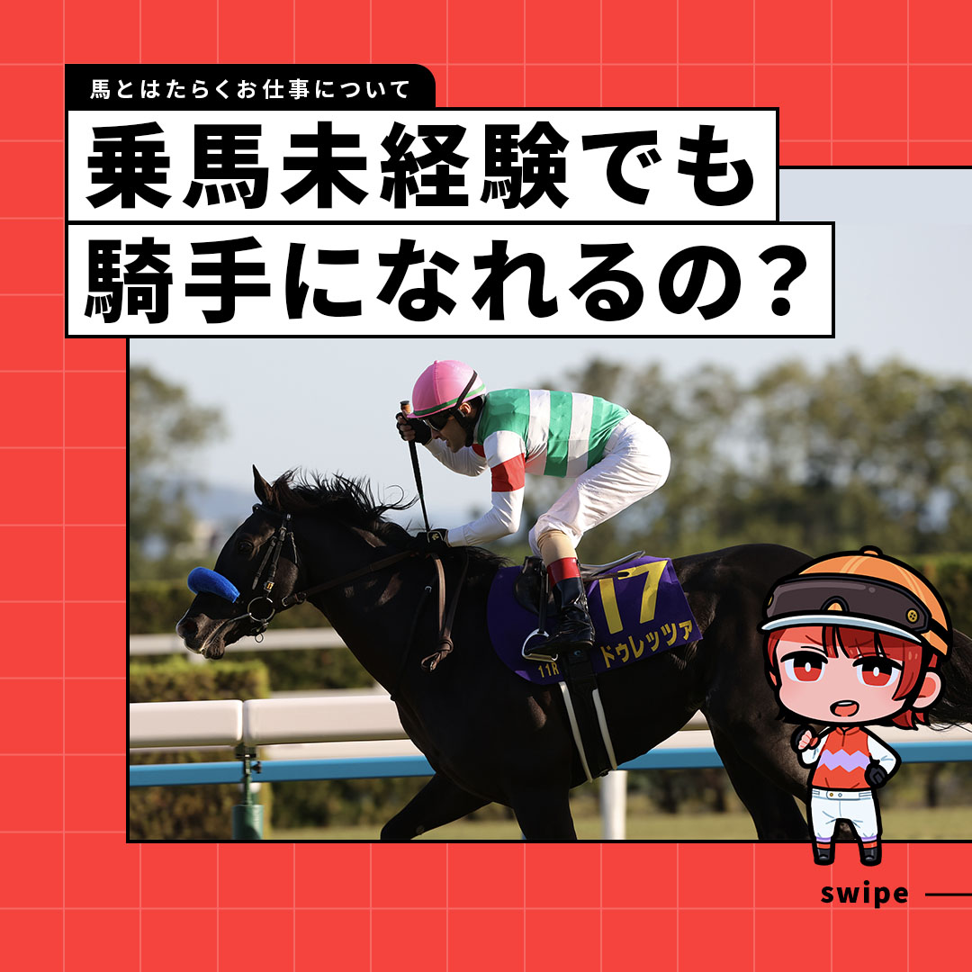 umajob_jra's tweet photo. 乗馬未経験でも騎手になれるの❓🤔

実は、乗馬経験がほとんどなくても競馬学校に入学して、騎手として活躍している先輩はたくさんいます💡

騎手になるために必要なのは、アスリートとしての能力や意識の高さ、そして何より熱意です🔥

#UMAJOB #就職活動 #競馬 https://t.co/pD8N1GW63D