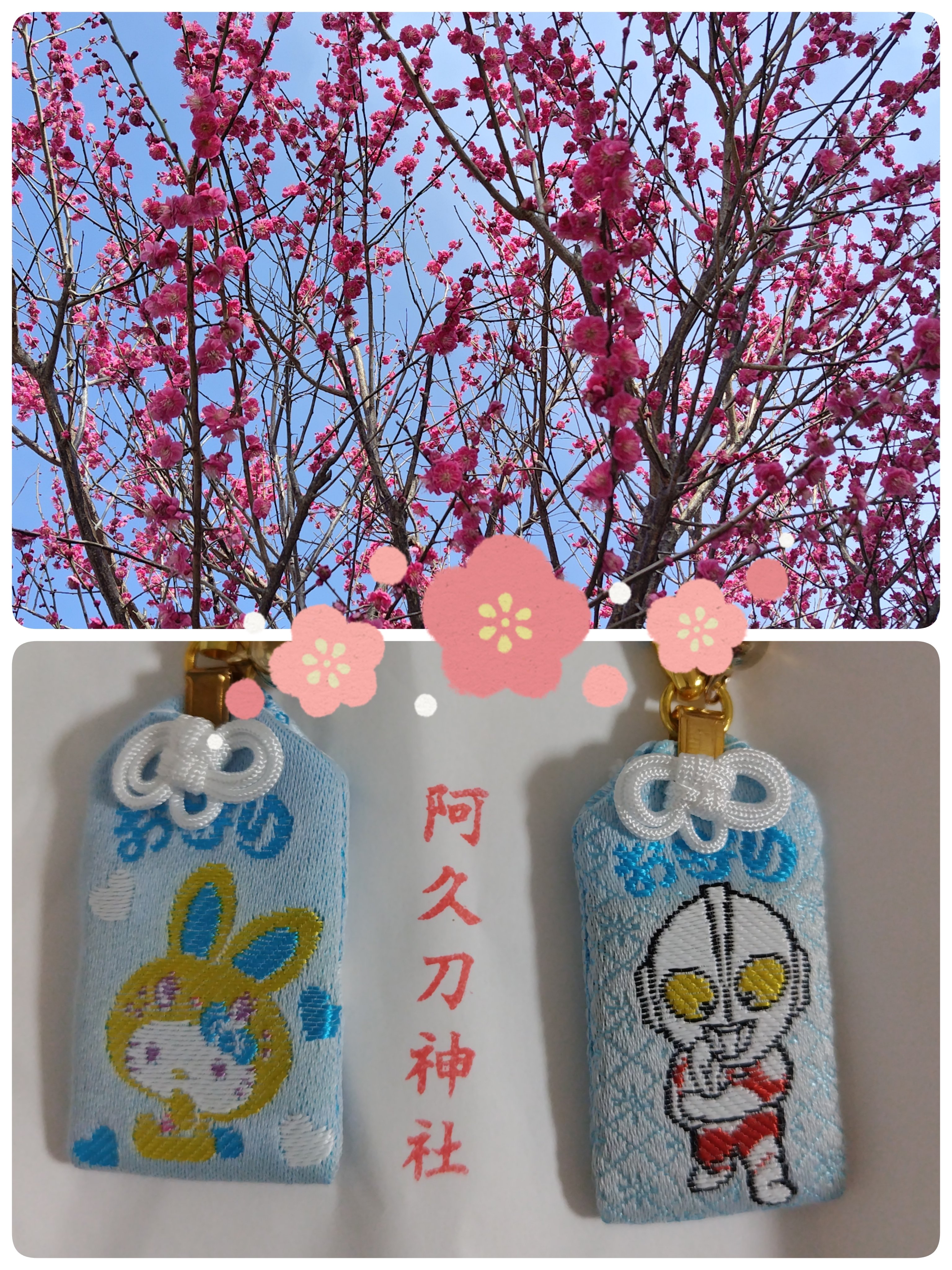 なりきりシリーズ⭐︎ウルトラマンキティ バンダイ 商品・サービスサイト | NARIKIRI HELLO KITTY