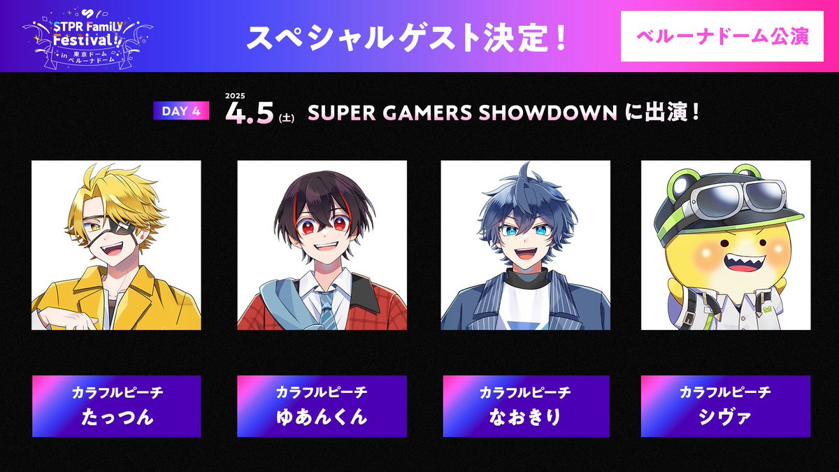 STPR 掛けよ familyフェスティバル ペンライト 東京ドーム