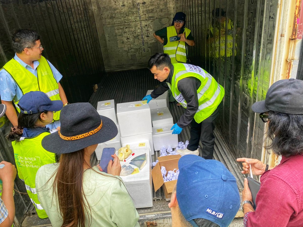 #Crimesinfisheries sector is a billion-dollar illicit market.
We're supporting Vietnamese 🇻🇳 law enforcement to tackle this through training on profiling, inspection &amp; joint operational planning under #FishNET project, in collaboration with <a href="/UNODC_WCO_CCP/">CCP/Global</a> &amp; thanks to Norway 🇳🇴.