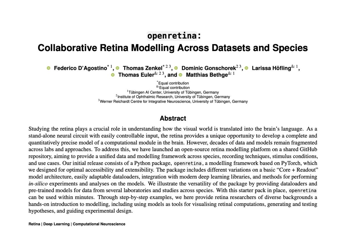 🚨 New paper alert! 🚨
We’ve just launched openretina, an open-source framework for collaborative retina modeling across datasets and species.
A 🧵👇 (1/9)