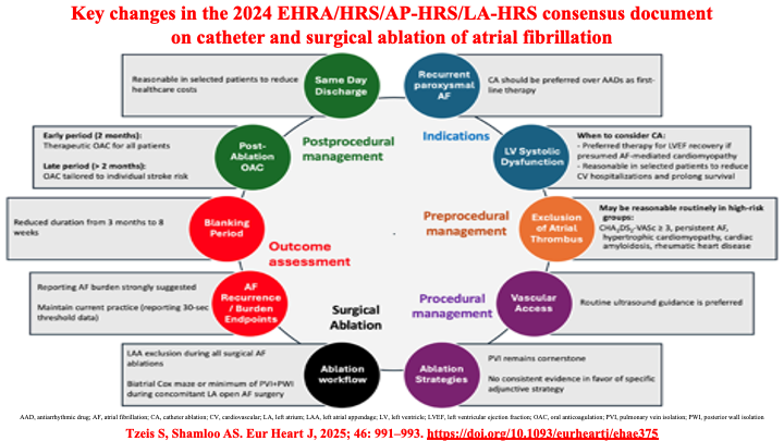 Raviele Antonio (@drraviele) on Twitter photo 📌2024 EHRA/HRS/APHRS/LAHRS expert document on catheter & surgical ablation of AF
👉Key changes
#EPeeps #afib #CardioTwitter #MedTwitter <a href="/DrMarthaGulati/">Dr. Martha Gulati ♥️🫀❤️🩹🇨🇦</a> <a href="/AnastasiaSMihai/">Dr Anastasia Mihailidou FAHA FCSANZ FESC</a> <a href="/SeguraCardio/">Diego Segura-Rodríguez</a> <a href="/mmamas1973/">Mamas A. Mamas</a> <a href="/EduardoSaad3/">Eduardo Saad</a> <a href="/KTamirisaMD/">Kamala Tamirisa MD</a> <a href="/drluissaenz/">Luis C. Saenz, MD</a> <a href="/DrJasonAndrade/">Jason Andrade</a> <a href="/TJaredBunch/">Thomas Jared Bunch</a> <a href="/PrashSanders/">Prash Sanders</a> 📌2024 EHRA/HRS/APHRS/LAHRS expert document on catheter & surgical ablation of AF
👉Key changes
#EPeeps #afib #CardioTwitter #MedTwitter <a href="/DrMarthaGulati/">Dr. Martha Gulati ♥️🫀❤️🩹🇨🇦</a> <a href="/AnastasiaSMihai/">Dr Anastasia Mihailidou FAHA FCSANZ FESC</a> <a href="/SeguraCardio/">Diego Segura-Rodríguez</a> <a href="/mmamas1973/">Mamas A. Mamas</a> <a href="/EduardoSaad3/">Eduardo Saad</a> <a href="/KTamirisaMD/">Kamala Tamirisa MD</a> <a href="/drluissaenz/">Luis C. Saenz, MD</a> <a href="/DrJasonAndrade/">Jason Andrade</a> <a href="/TJaredBunch/">Thomas Jared Bunch</a> <a href="/PrashSanders/">Prash Sanders</a>