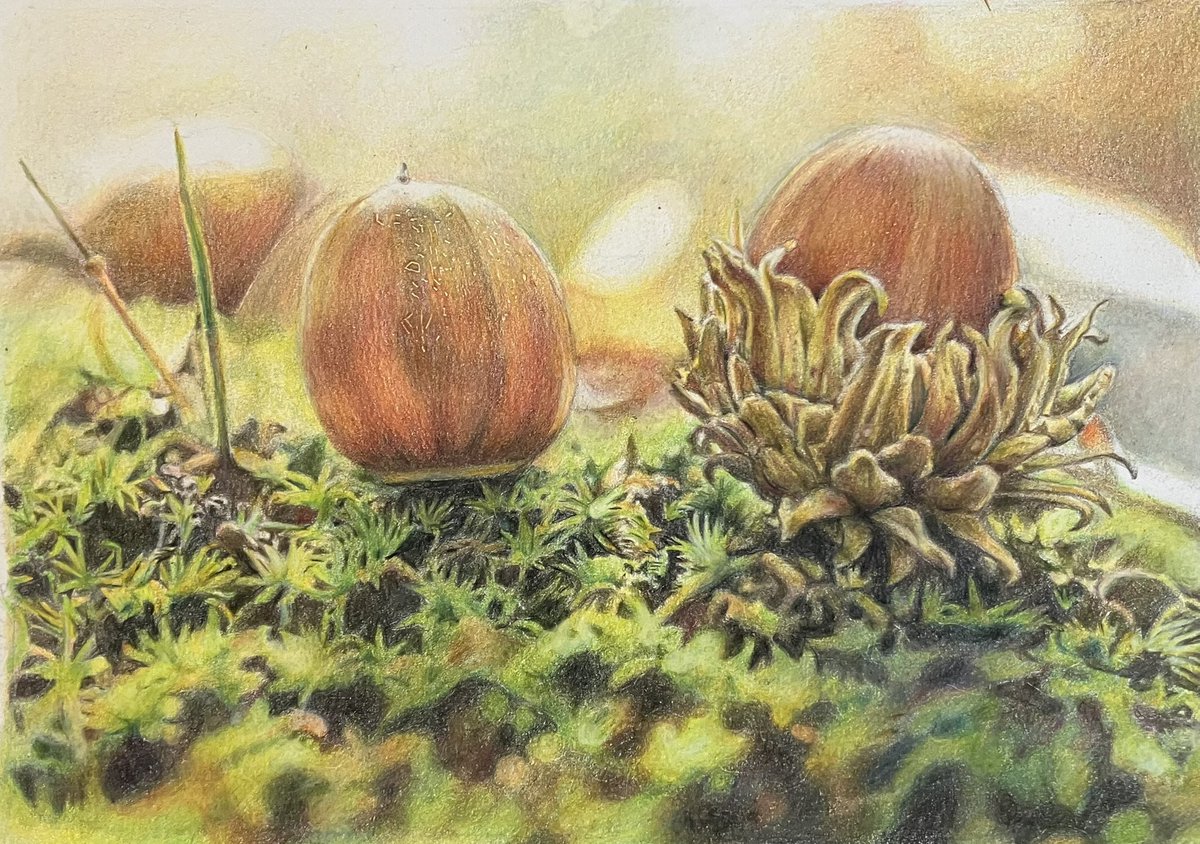 陽だまり」 第41回FUKUIサムホール美術展で入選した作品。今年1月に