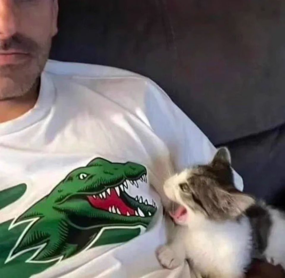 positive side of X 🌞 tweet media
