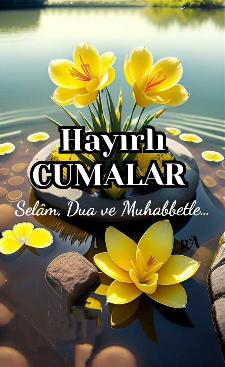 Gull0345's tweet photo. Etrafın   Ne   Kadar  Kalabalık olursa   Olsun 

          KaLbin/de   الله    Yoksa

                Yapayalnız/sın /
#HayirliCumalar https://t.co/Av9ahA9Ims