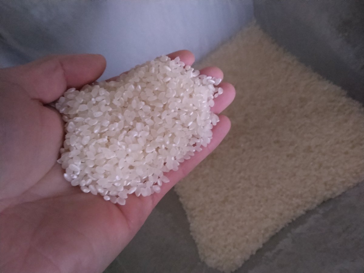 高知県の美味しいお米🌾無名シルク※シルク米の予約販売スタート