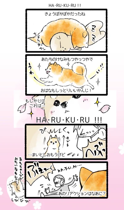 KA.FU.N… 
