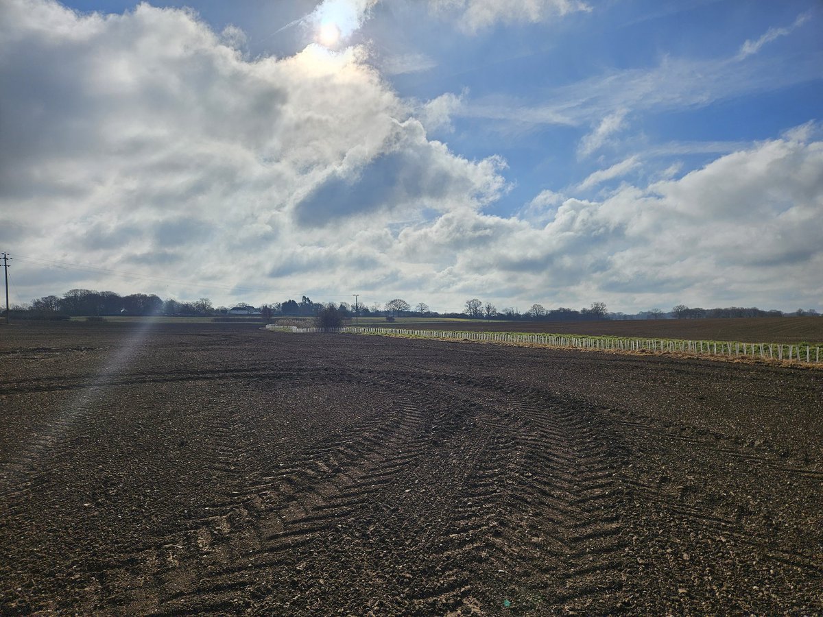 farmingnotes's tweet image. Reason 164829 why I love my job #essexasitreallyis