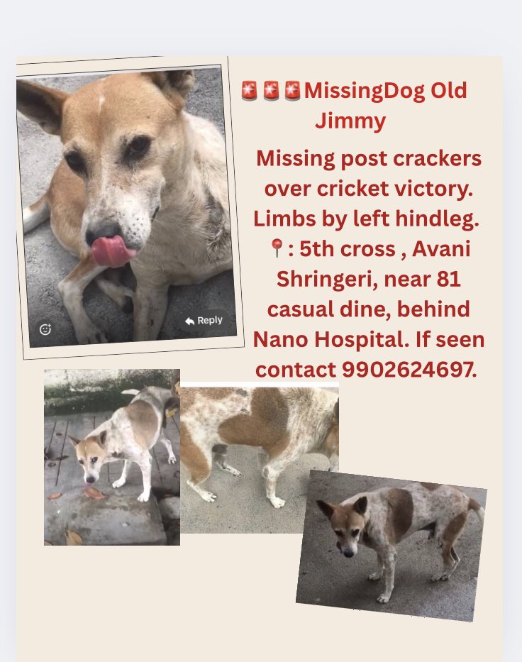 Swayambhu Soham🇮🇳🌈 🏳️⚧️Xie| Xier | Xem) (@swayambhusoham) on Twitter photo #Kudos to #BBMPSWM worker for going extra miles for helping us to find a missing dog. Little bit of #Kannada can melt hearts in #Bangalore . BBMP being already enganged in <a href="/BBMP_AHD/">Bbmp.animalhusbandry</a> co-existence program & as they go to every lane & house, their willingness to help us a boon . #Kudos to #BBMPSWM worker for going extra miles for helping us to find a missing dog. Little bit of #Kannada can melt hearts in #Bangalore . BBMP being already enganged in <a href="/BBMP_AHD/">Bbmp.animalhusbandry</a> co-existence program & as they go to every lane & house, their willingness to help us a boon .