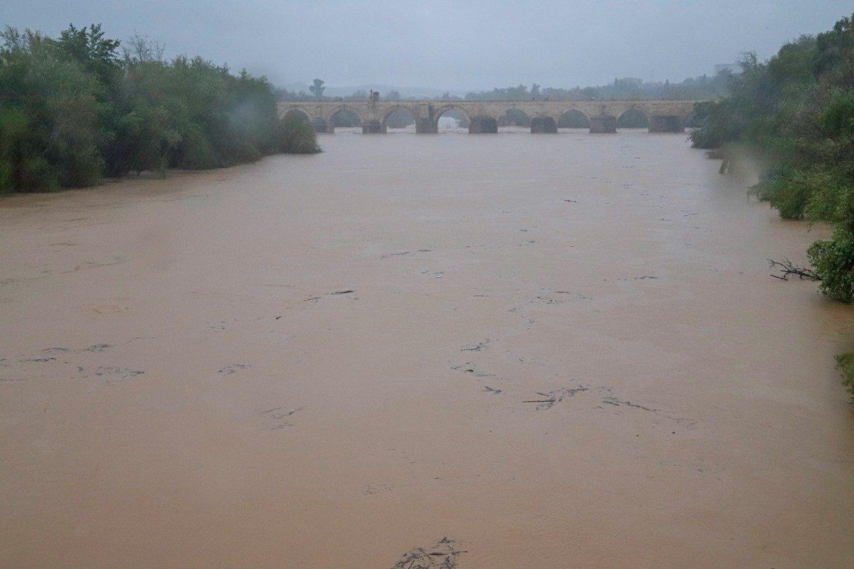 cordoba's tweet image. ‼️Este es el aspecto del Guadalquivir a su paso por Córdoba tras volver al umbral amarillo por la subida del caudal

🔗diariocordoba.com/cordoba-ciudad…