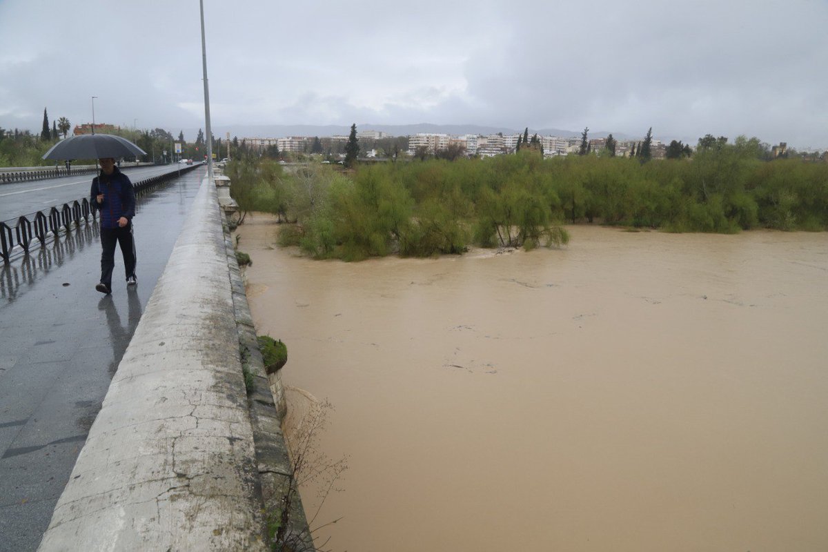 cordoba's tweet image. ‼️Este es el aspecto del Guadalquivir a su paso por Córdoba tras volver al umbral amarillo por la subida del caudal

🔗diariocordoba.com/cordoba-ciudad…