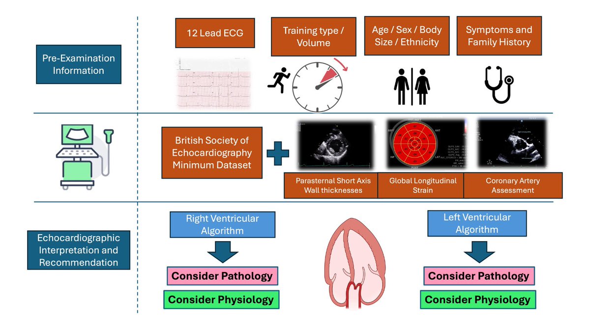 BSEcho (@bsecho) on Twitter photo 🚨 NEW GUIDELINE 🚨
We're delighted to announce the publication of our new sports cardiology guideline, endorsed by <a href="/CRY_UK/">CRY</a> - check it out here: ow.ly/NsoK50Vhj88
Read our blog: ow.ly/tipX50Vhj89
Thanks to our authors:
<a href="/oxborough77/">Prof David Oxborough</a>
<a href="/KPGeorge66/">Keith George</a>
<a href="/robcoops82/">Rob Cooper</a> 🚨 NEW GUIDELINE 🚨
We're delighted to announce the publication of our new sports cardiology guideline, endorsed by <a href="/CRY_UK/">CRY</a> - check it out here: ow.ly/NsoK50Vhj88
Read our blog: ow.ly/tipX50Vhj89
Thanks to our authors:
<a href="/oxborough77/">Prof David Oxborough</a>
<a href="/KPGeorge66/">Keith George</a>
<a href="/robcoops82/">Rob Cooper</a>