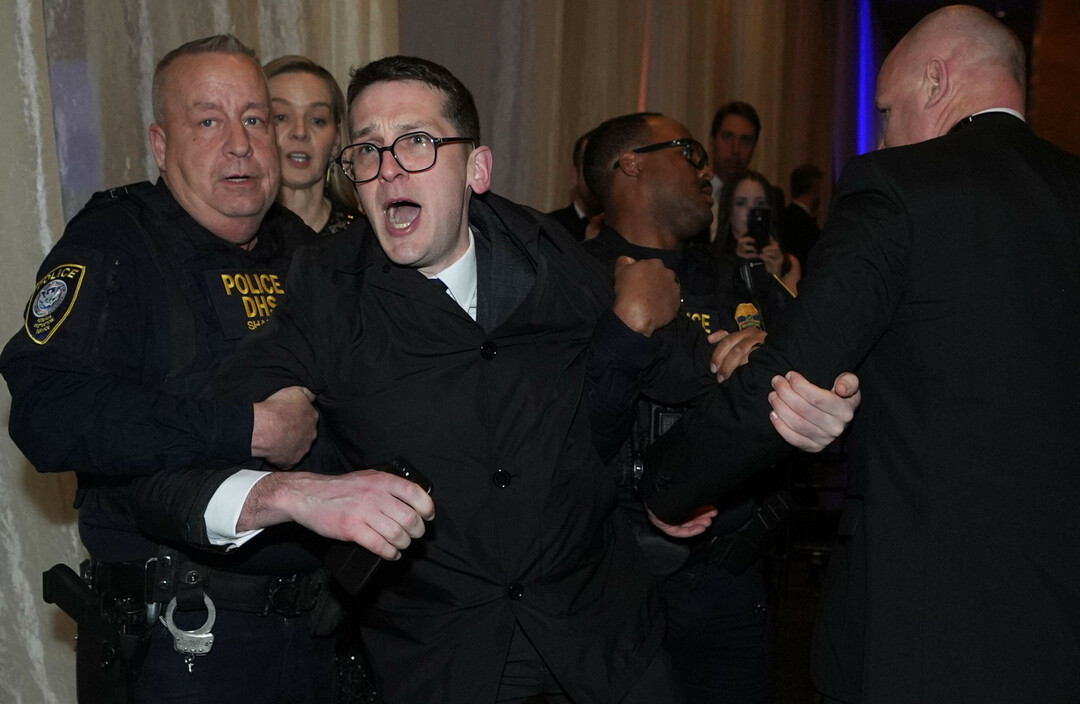 ActingTheGom's tweet image. I&apos;m sorry but this is just incredible 😂