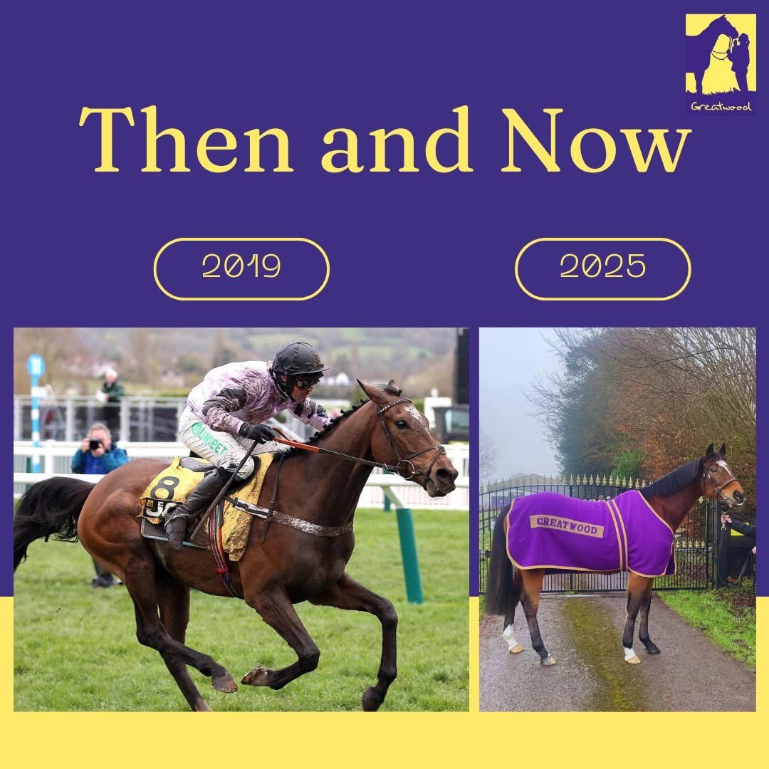 Greatwood Charity (@greatwoodhorses) on Twitter photo We've got that #FridayFeeling , as we look back to 6 years ago when Pentland Hills won the <a href="/CheltenhamRaces/">CheltenhamRacecourse</a> Triumph Hurdle for the <a href="/ownersgroupuk/">Owners Group</a> . He is now enjoying his new role as an equine ambassador for our #community outreach programmes.
greatwoodcharity.org We've got that #FridayFeeling , as we look back to 6 years ago when Pentland Hills won the <a href="/CheltenhamRaces/">CheltenhamRacecourse</a> Triumph Hurdle for the <a href="/ownersgroupuk/">Owners Group</a> . He is now enjoying his new role as an equine ambassador for our #community outreach programmes.
greatwoodcharity.org