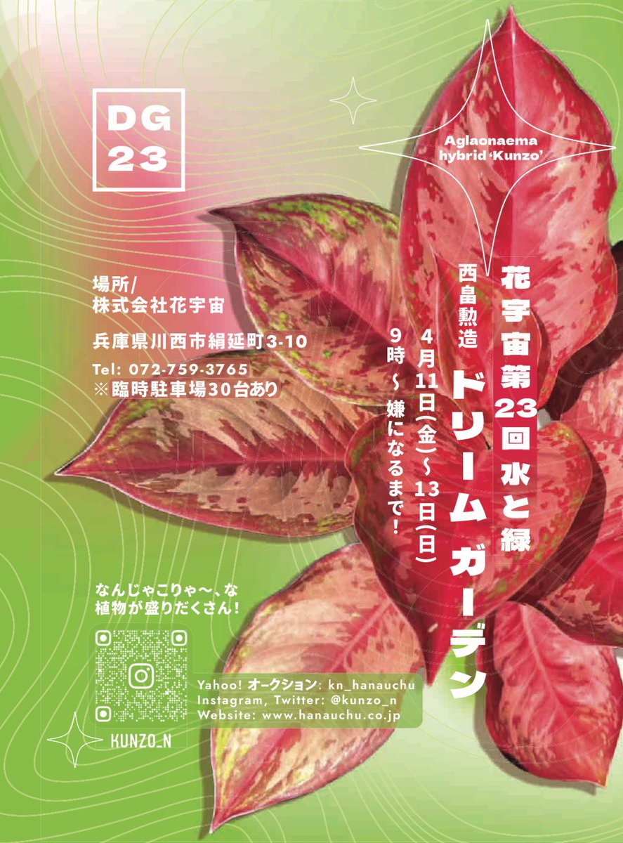 花宇宙 西畠勲造 (@kunzo_n) / Posts / X