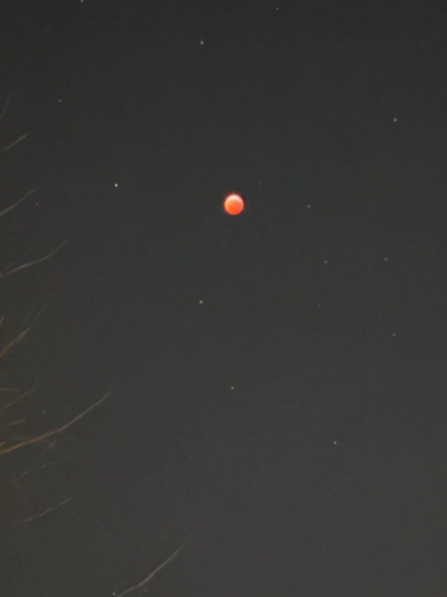 Dustin Nolan (@dustinlnolan) on Twitter photo As <a href="/KWQCJenna/">Jenna Jackson</a> and I headed into work this morning she took this picture of the total lunar eclipse, also known as a Blood Moon.
Hope everyone has a fantastic and safe weekend as you celebrate Saint Patrick’s Day.
<a href="/kwqcnews/">KWQC TV6 News</a> As <a href="/KWQCJenna/">Jenna Jackson</a> and I headed into work this morning she took this picture of the total lunar eclipse, also known as a Blood Moon.
Hope everyone has a fantastic and safe weekend as you celebrate Saint Patrick’s Day.
<a href="/kwqcnews/">KWQC TV6 News</a>