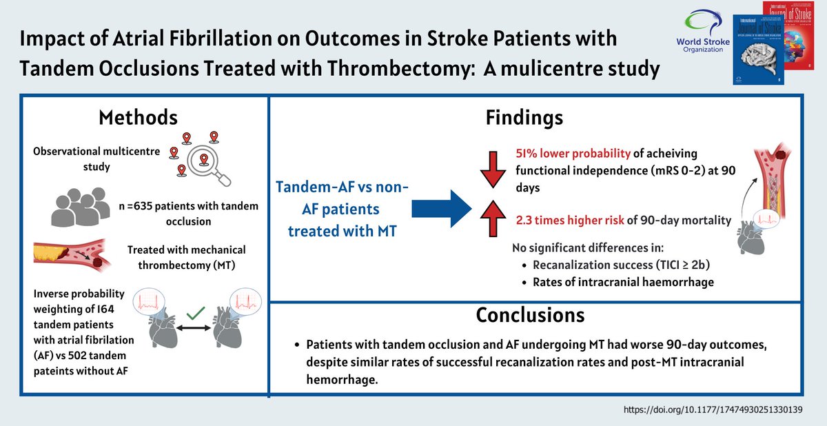 International Journal of Stroke (@intjstroke) on Twitter photo 🫀New study shows patients with tandem occlusion and AF undergoing mechanical thrombectomy had worse functional and survival outcomes relative to non-AF counterparts
Read more here👇
journals.sagepub.com/doi/10.1177/17…
<a href="/luciodanna2/">luciodanna</a> <a href="/giovmerl/">Giovanni Merlino</a> <a href="/Simona_Sacco_/">Simona Sacco</a> <a href="/mattfos89/">Matteo Foschi</a> <a href="/SomaBanerjee73/">Soma Banerjee</a> 🫀New study shows patients with tandem occlusion and AF undergoing mechanical thrombectomy had worse functional and survival outcomes relative to non-AF counterparts
Read more here👇
journals.sagepub.com/doi/10.1177/17…
<a href="/luciodanna2/">luciodanna</a> <a href="/giovmerl/">Giovanni Merlino</a> <a href="/Simona_Sacco_/">Simona Sacco</a> <a href="/mattfos89/">Matteo Foschi</a> <a href="/SomaBanerjee73/">Soma Banerjee</a>