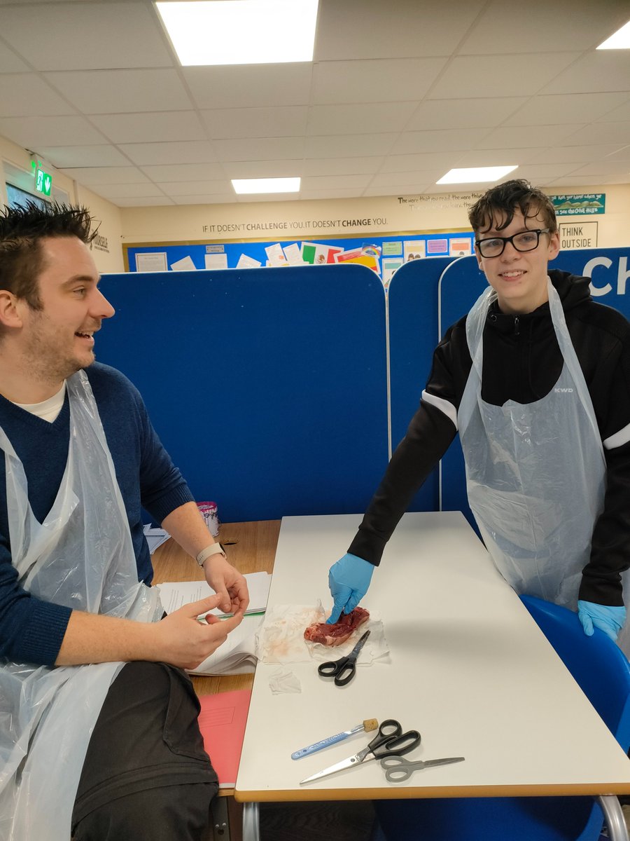 National Biologists in Secondary CSSS have been learning the structure of the heart and how it relates to function. A heart dissection was carried out by the class as part of their learning.