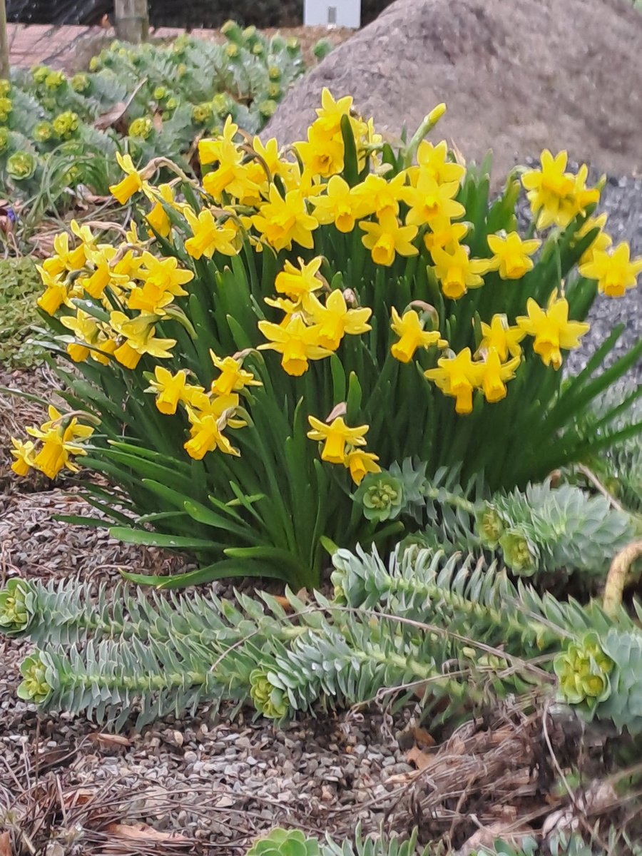 Der Park erwacht langsam 🥰🥰
Die kleinen Dinge sind es.