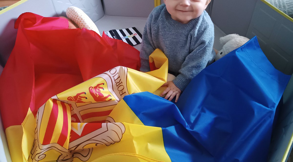 Despertar-se el dia de la Constitució amb nevadeta i amb ella és simplement 😍.

Bon dia de la Constitució andorrans! 🇦🇩