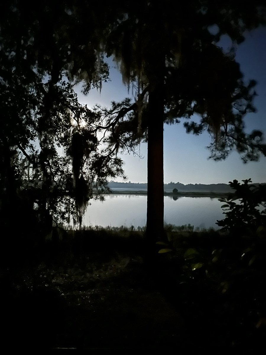 CoachGalloway7's tweet image. What a beautiful morning. #LowCountry 🐅🐅
