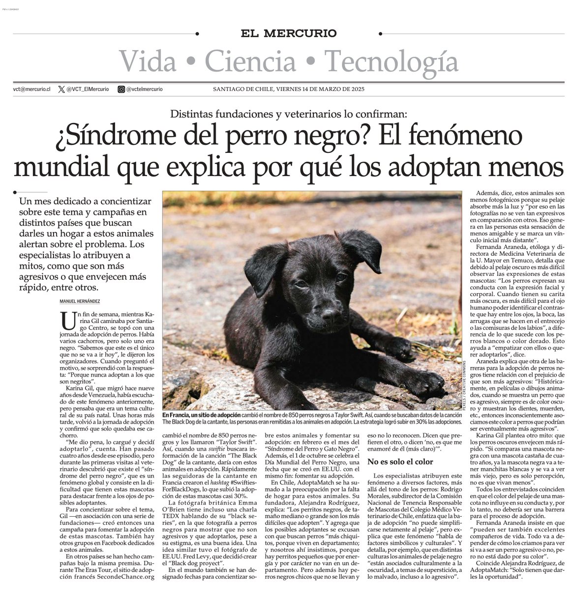 ¿Síndrome del perro negro? El fenómeno mundial que explica por qué los adoptan menos. #VCTElMercurio shorturl.at/caGFl