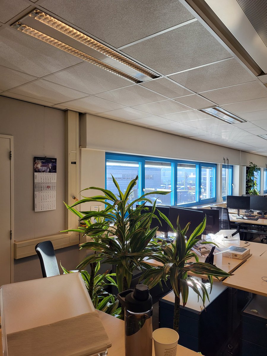 Remco Stals 🔽 tweet media