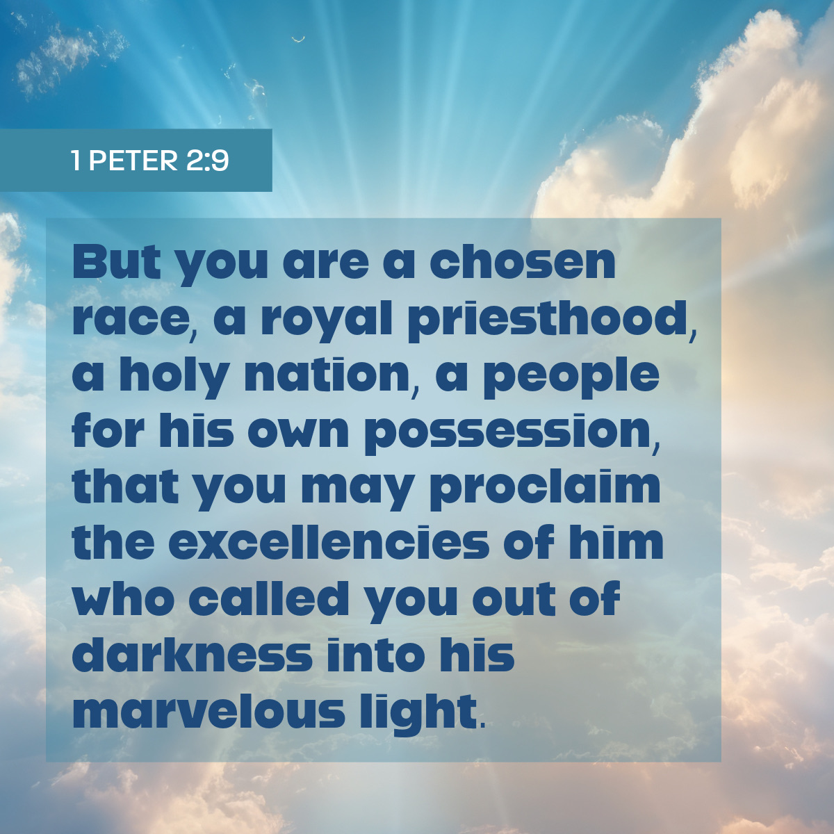 tweets_mb's tweet photo. #priesthood #royal #HolyNation https://t.co/PRaAZeaHod