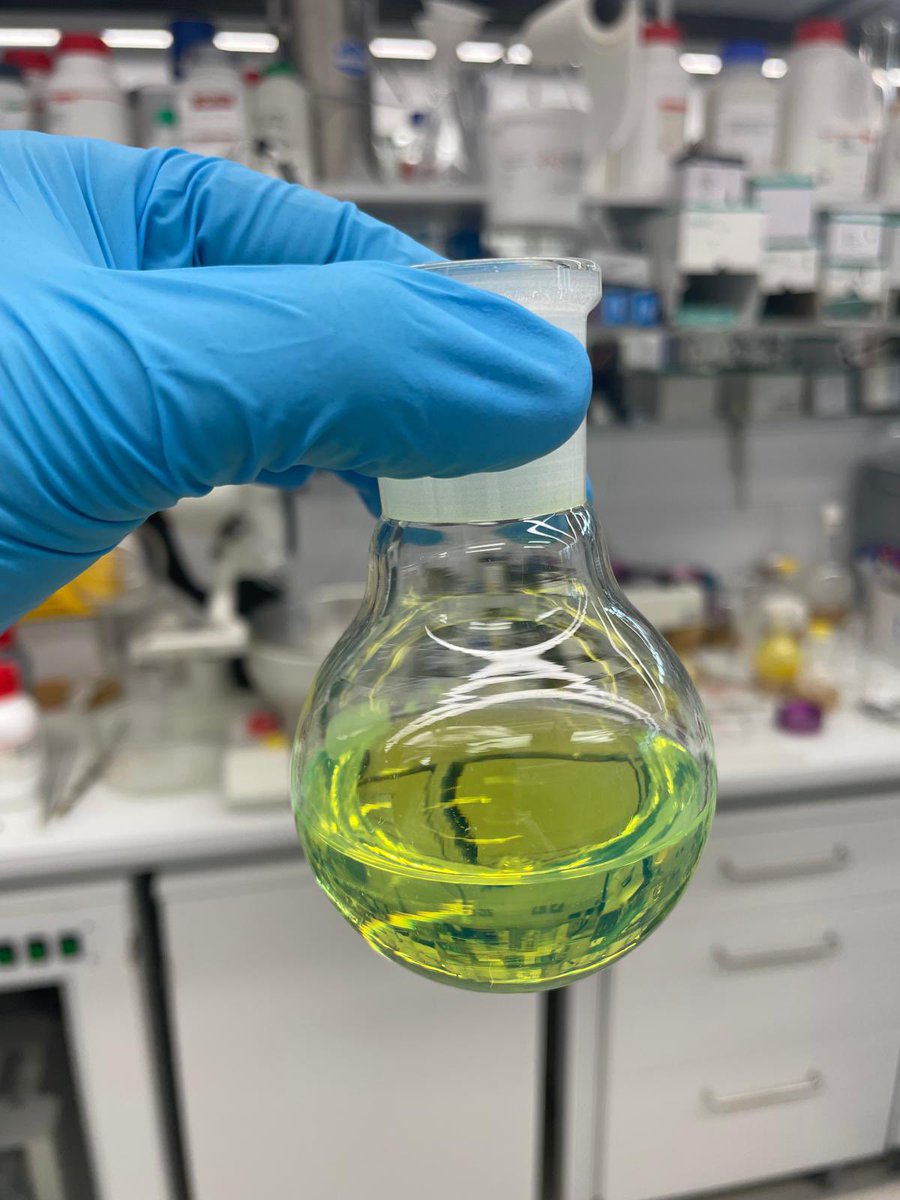 Right on time for #FluorescenceFriday! 😎 <a href="/paulawdr/">Paula Widmer</a> and Cyrill are on the hunt for new funky molecules🔎 #chemistry #phd #phdlife #student <a href="/michal_juricek/">Michal Juricek</a> <a href="/UZH_Chemistry/">UZH Chemistry</a> <a href="/UZH_en/">University of Zurich</a>