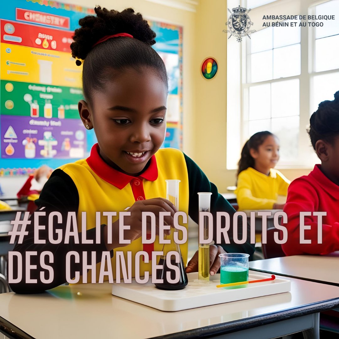 #JourneeInternationaleDesDroitsdesFemmes : droit de vivre à l'abri de la violence, droit à l'éducation, à la propriété, à la santé... Malgré les avancées, les défis restent nombreux en 🇧🇪 et au 🇧🇯 !
➡️Pour vous, quels sont les droits des femmes à prioritairement encore renforcer?
