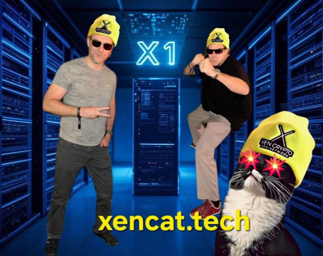 mrJackLevin's tweet photo. Xencat in da server room https://t.co/GEKbnzVvxI