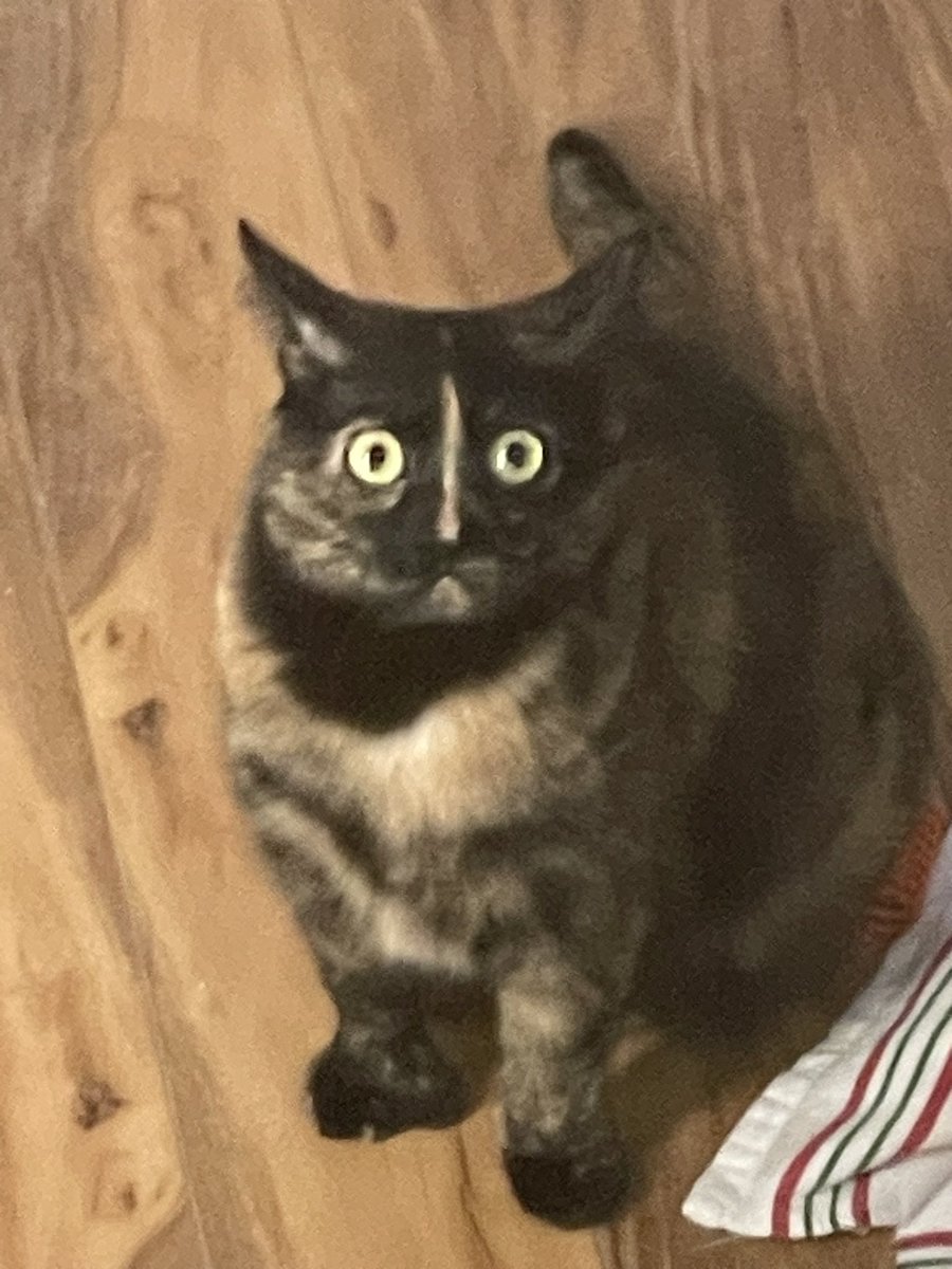 Back4Soup's tweet image. The beast.