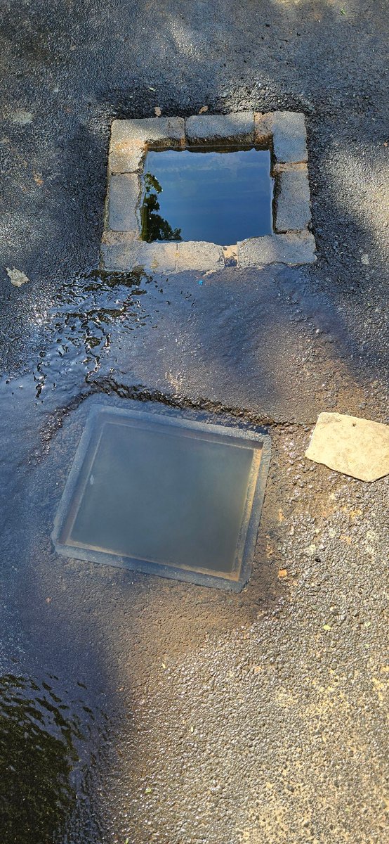 DeborahColdham's tweet photo. @JHBWater please send team for ref JWAPP-40014062 water continually running down Rosebank Rd Dunkeld nearest cnr Cradock Ave https://t.co/QGnCnUcGmw