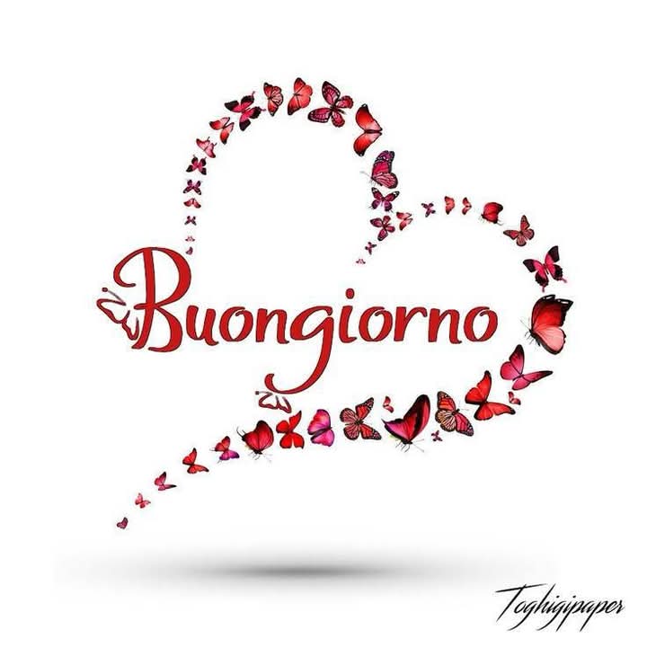 Marianna tweet media