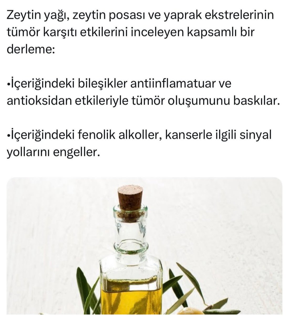 Prospektüs_Dünyası tweet media