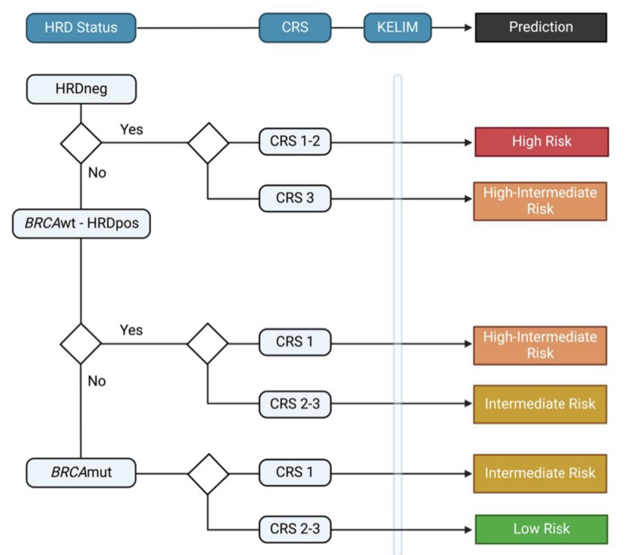Integrating clinical-molecular data to predict #PARPi efficacy in advanced #OvarianCancer after #ICS

✅ BRCA/HRD and CRS correlate with PFS
✅ CRS is a surrogate of PARPi efficacy
✅ Integrating BRCA/HRD, KELIM and CRS allows tailored maintenance

gynecologiconcology-online.net/article/S0090-…