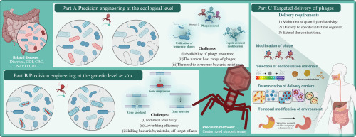 Engineering Microbiology tweet media