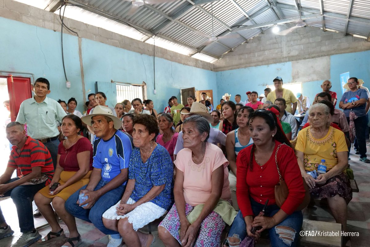 FAOHonduras's tweet photo. 📍Choluteca
#FAO realizó exitoso y educativo simulacro asistido de acciones anticipatorias ante inundaciones con el apoyo financiero de @UKinHonduras, en coordinación con el #CODEL de la comunidad de Barrial Limones  y el #CODEM del municipio de Orocuina.

#MejorVida https://t.co/3mCPYhTr4y